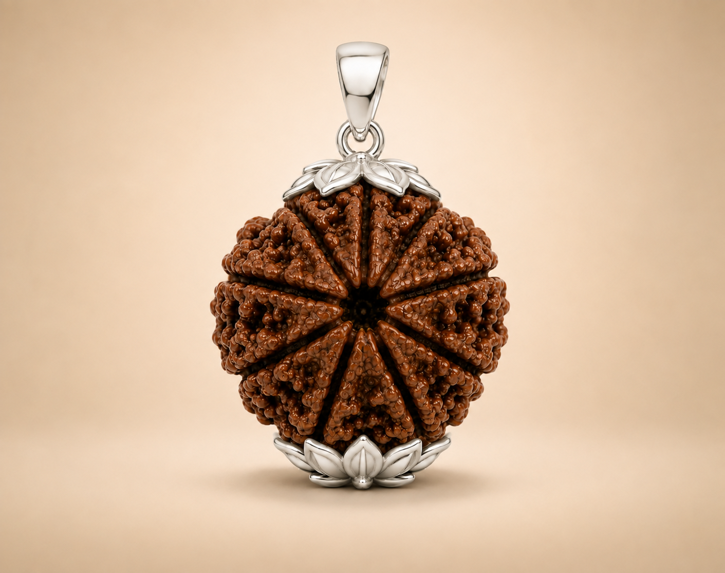 10 Mukhi Rudraksha ( Nepal Origin )